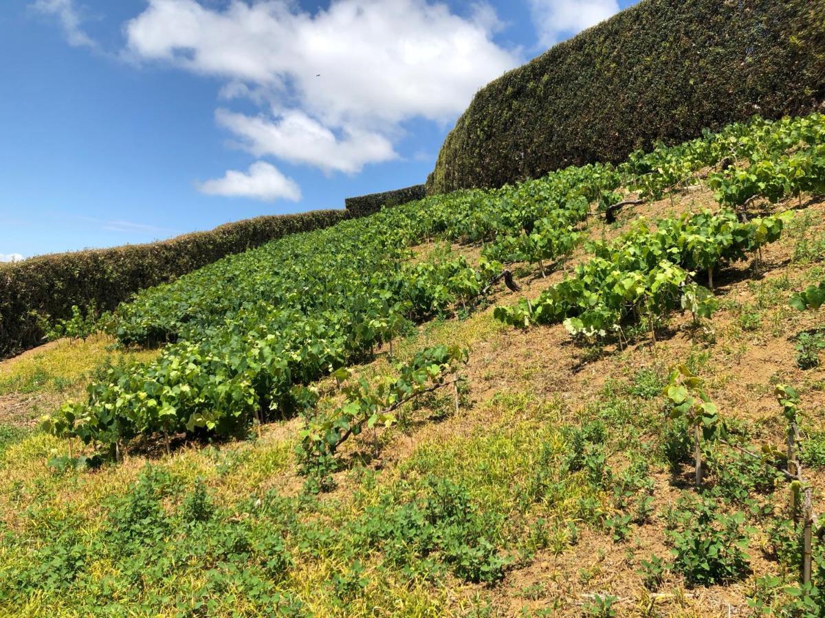 Вилла Quinta Do Pico Понта-Делгада Экстерьер фото